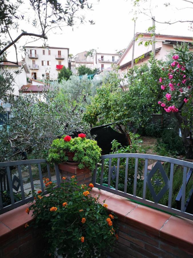 Ferienwohnung Casa Vacanze Sonia Amelia Exterior foto